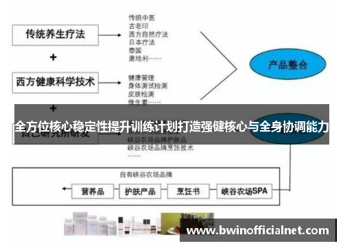 全方位核心稳定性提升训练计划打造强健核心与全身协调能力
